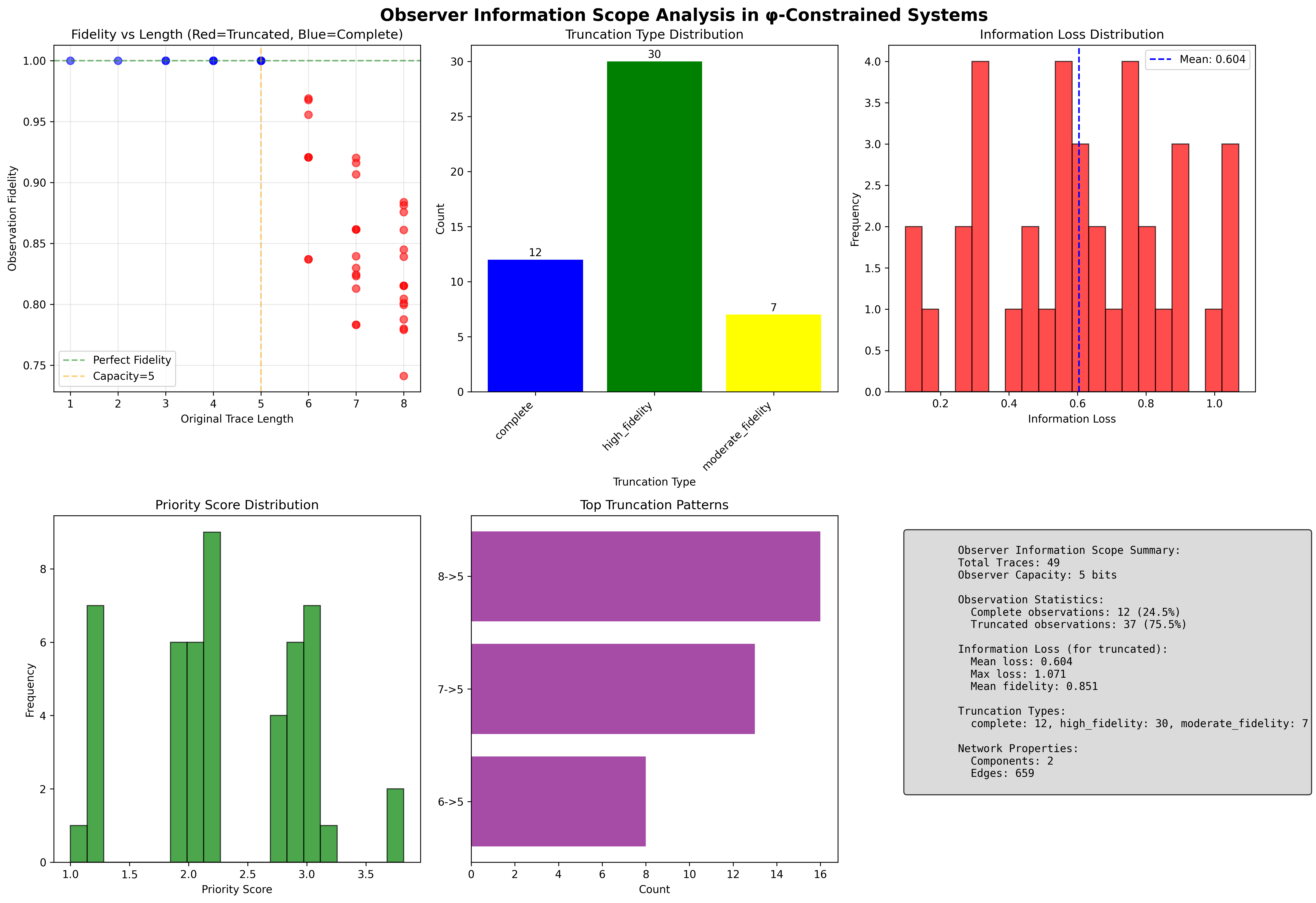 Observer Information Scope Analysis and Truncation Dynamics