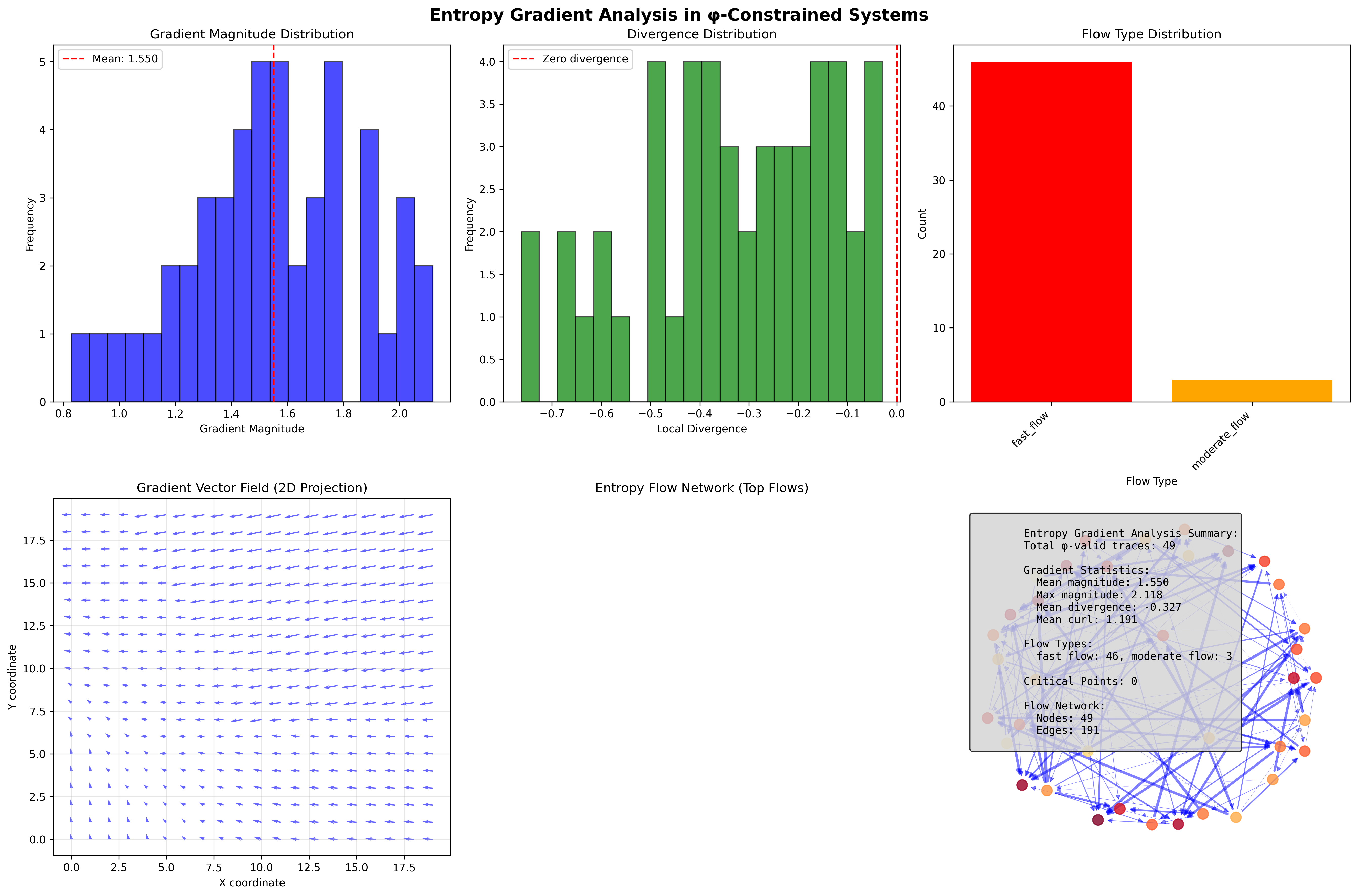 Entropy Gradient Analysis and Vector Fields
